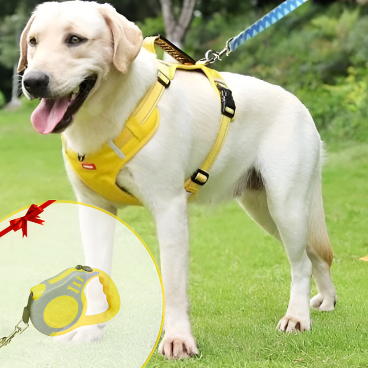 Anti-Trek Dog Harness - FlexiFit Kalsten