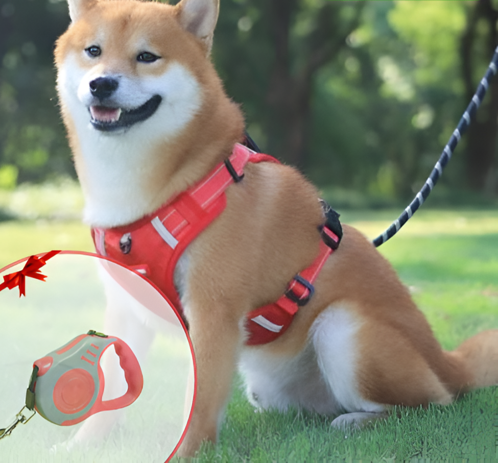 Anti-Trek Dog Harness - FlexiFit Kalsten