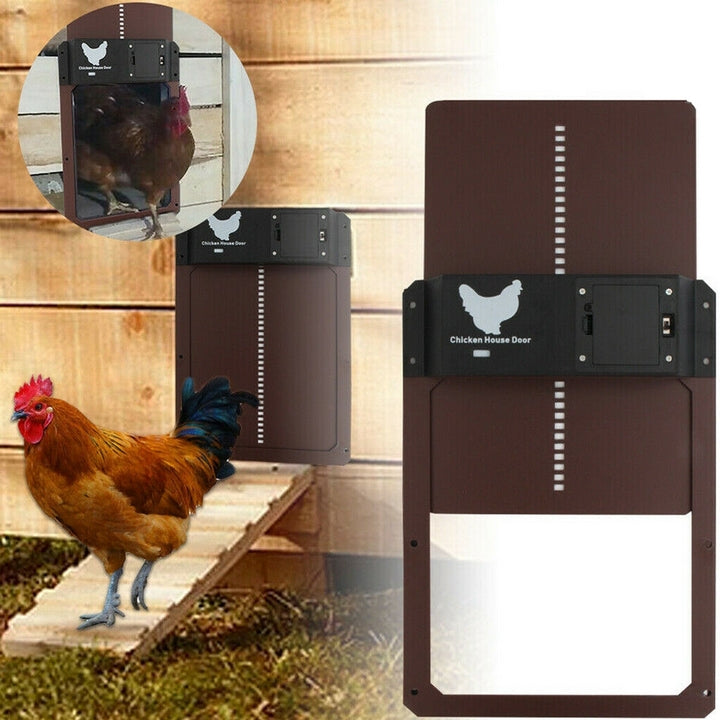 Kalsten | Automatic Chicken Coop Door System - SafeCoop