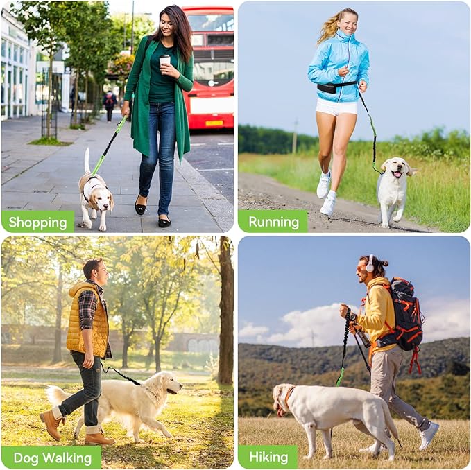 FlowLeash — Experience gentle control and relaxed walks without jerks! | Kalsten