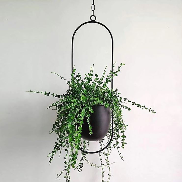 Stylish Indoor and Outdoor Plant Hanger - LeafLuxe | Kalsten