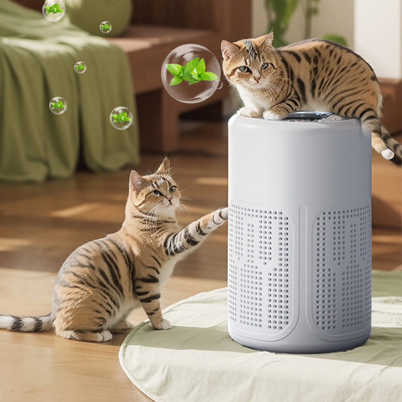 PureMist Air Purifier — Frees your rooms for deep, fresh breathing pleasure | Kalsten