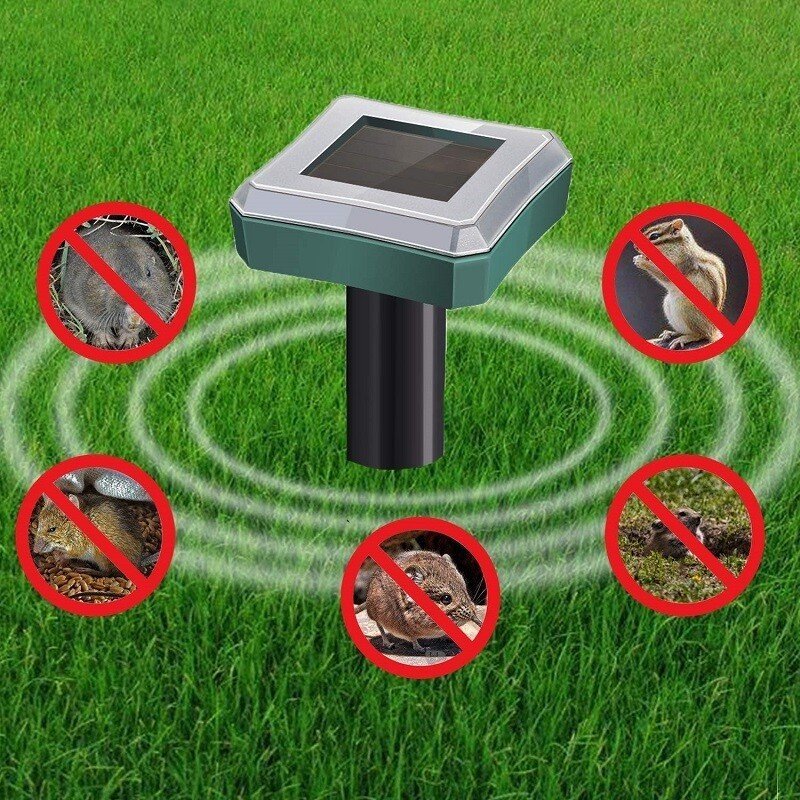the pests - Healthy and protected garden - Ecological and effective | Kalsten