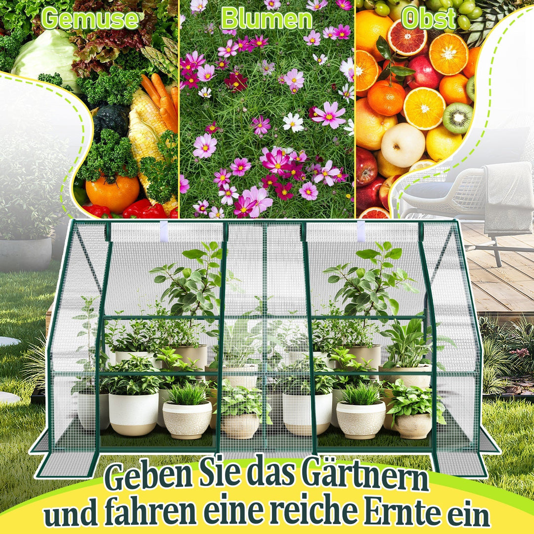 Greenhouse Tomato Greenhouse Hothouse | Kalsten