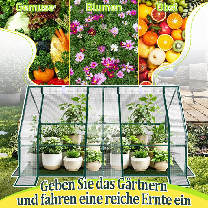 Greenhouse Tomato Greenhouse Hothouse | Kalsten