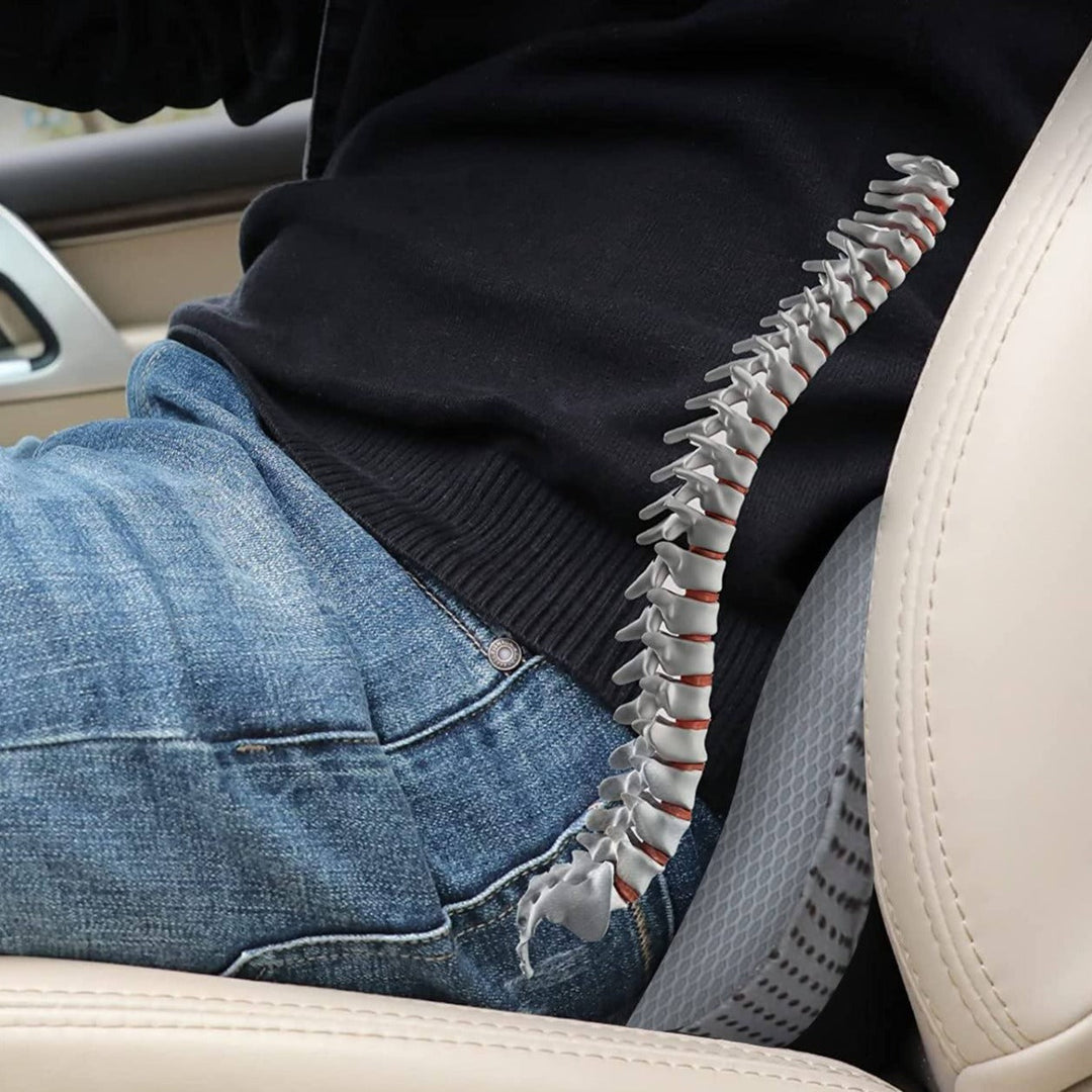 Memory Foam Car Seat Cushion Noxord