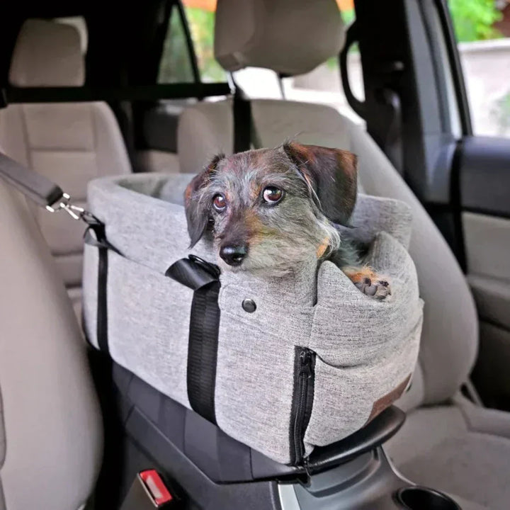 Kalsten | Car Dog Seat PetCruza | Safe & Padded | For Small Dogs up to 11 kg | Easy to Install