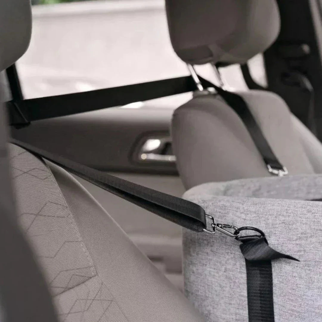 Kalsten | Car Dog Seat PetCruza | Safe & Padded | For Small Dogs up to 11 kg | Easy to Install