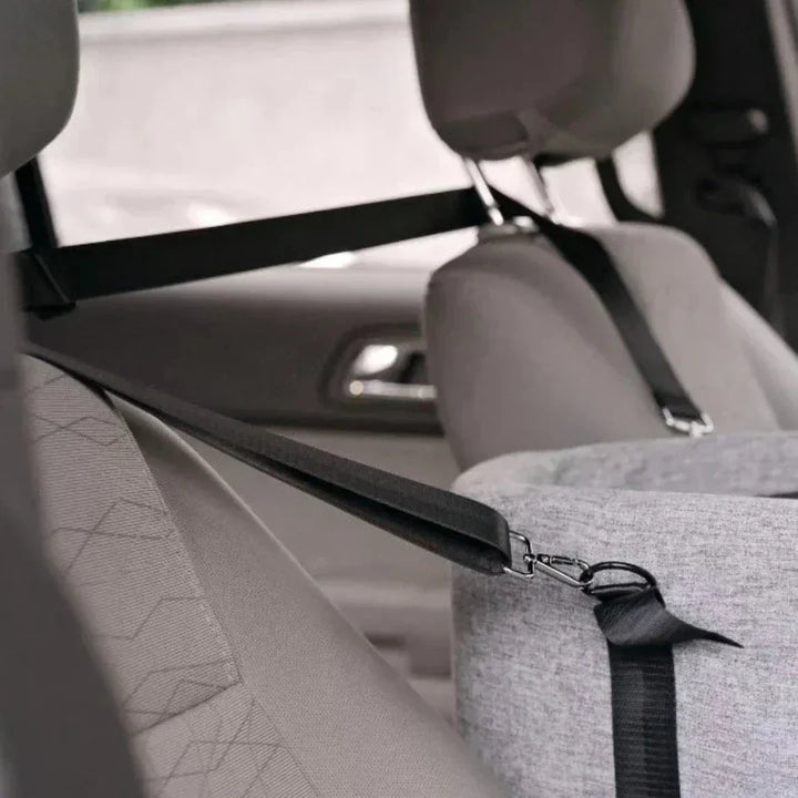 Kalsten | Car Dog Seat PetCruza | Safe & Padded | For Small Dogs up to 11 kg | Easy to Install