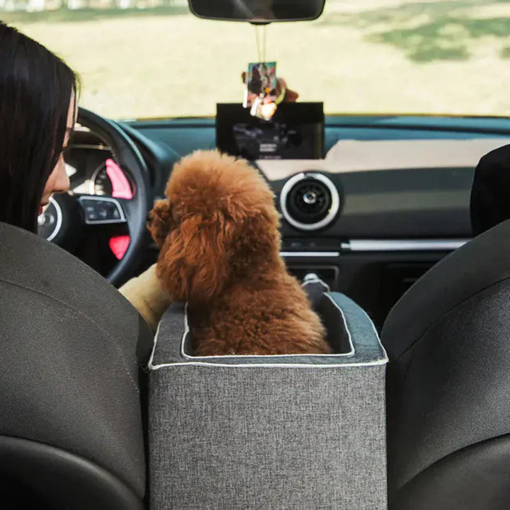Kalsten | Car Dog Seat PetCruza | Safe & Padded | For Small Dogs up to 11 kg | Easy to Install