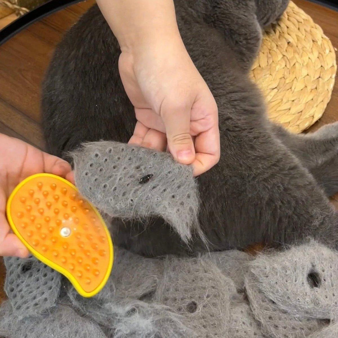 Cat brush with steam function | Kalsten