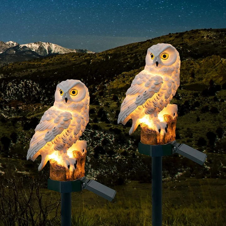 Solar Owl LED Garden Lights – Outdoor Set Kalsten