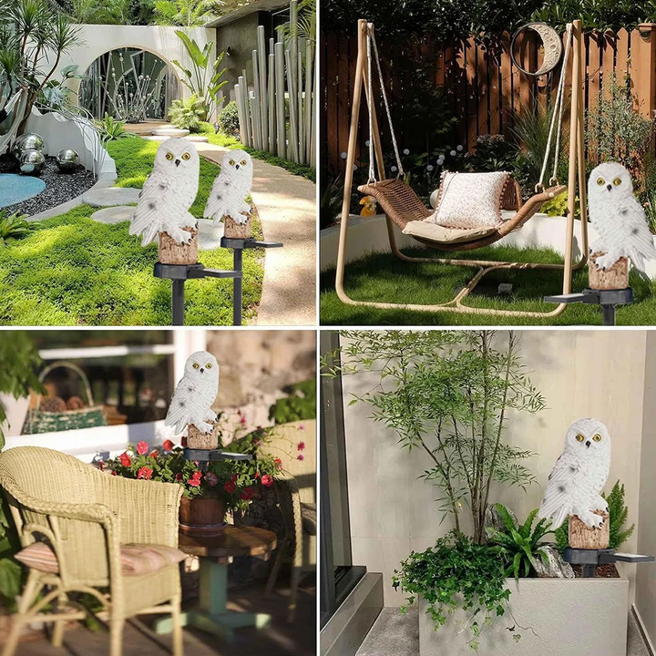 Kalsten | Garden Light Solar Owl Outdoor LED Set