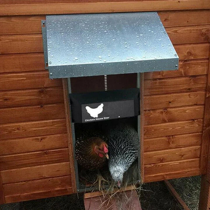 HenSafe – Automatic Chicken Coop Door Kalsten