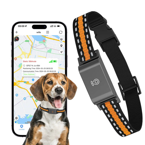 Kalsten | GPS Dog and Cat Collar – Unlimited Range Real-Time Tracker
