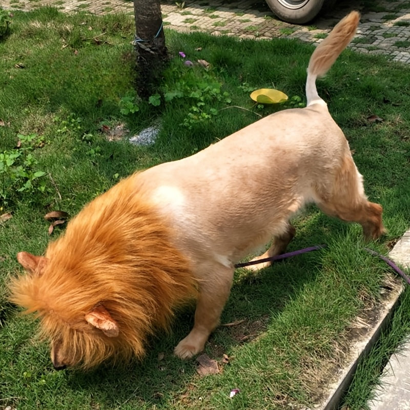 Dog Lion Mane Halloween Costume Lightweight Adjustable Noxord