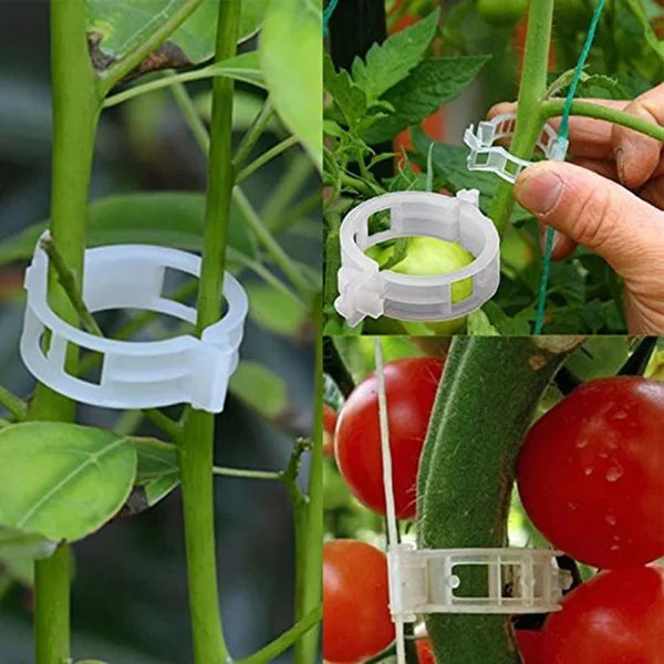GripKing Clips — Keep your plants strong and discover effortless, healthy growth! | Kalsten