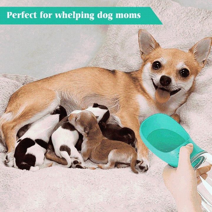 Dog Water Bottle | Kalsten