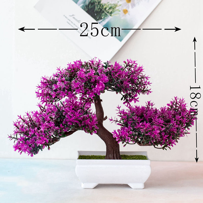 Bonsai Plant – Mini Indoor Decoration
