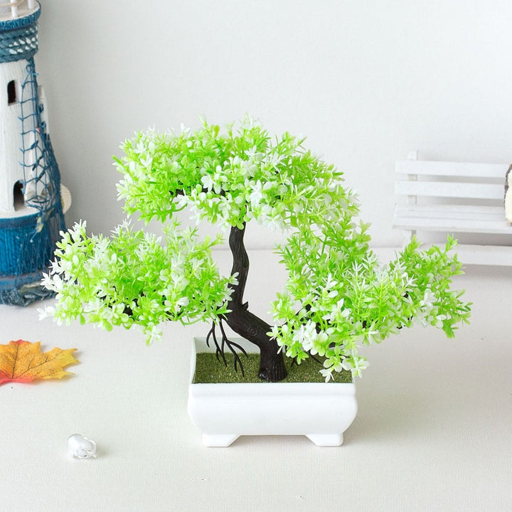 Bonsai Plant – Mini Indoor Decoration