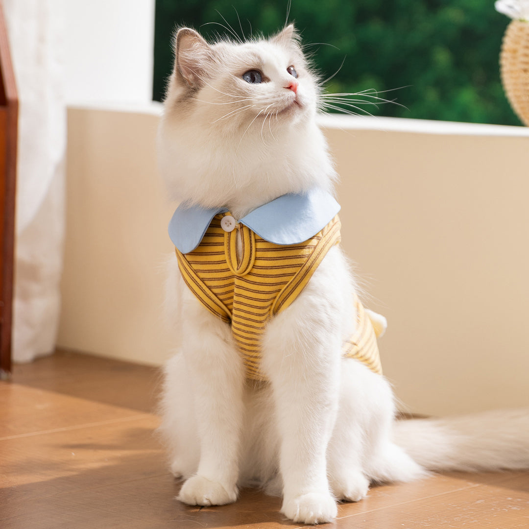 Summer vests for cats and small dogs