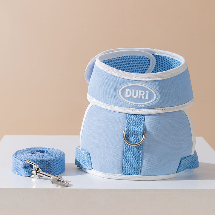 Colorful leash for small dogs and cats