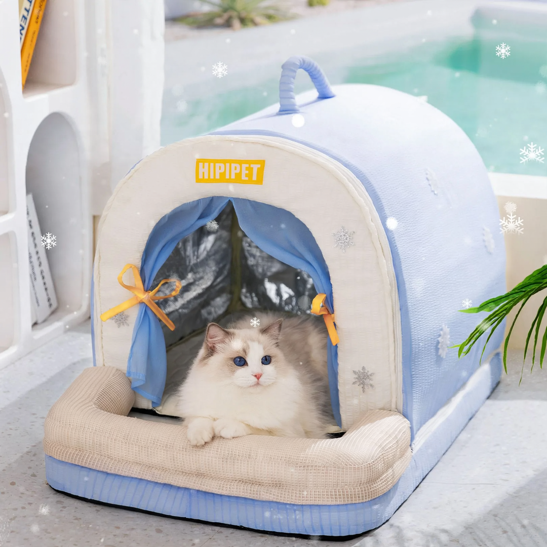 Ventilated pet bed for summer and year-round