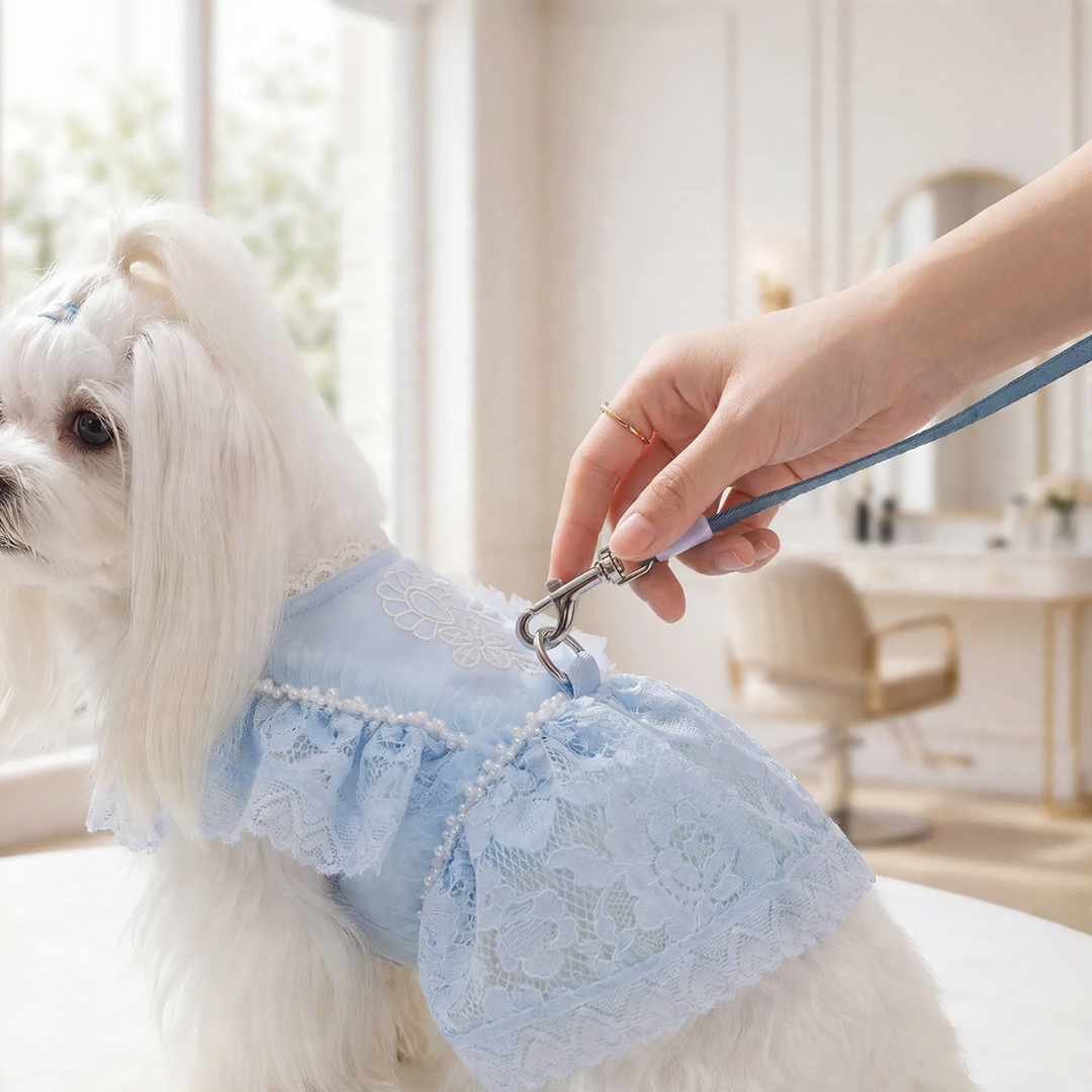 Princess dress for small dogs, summer