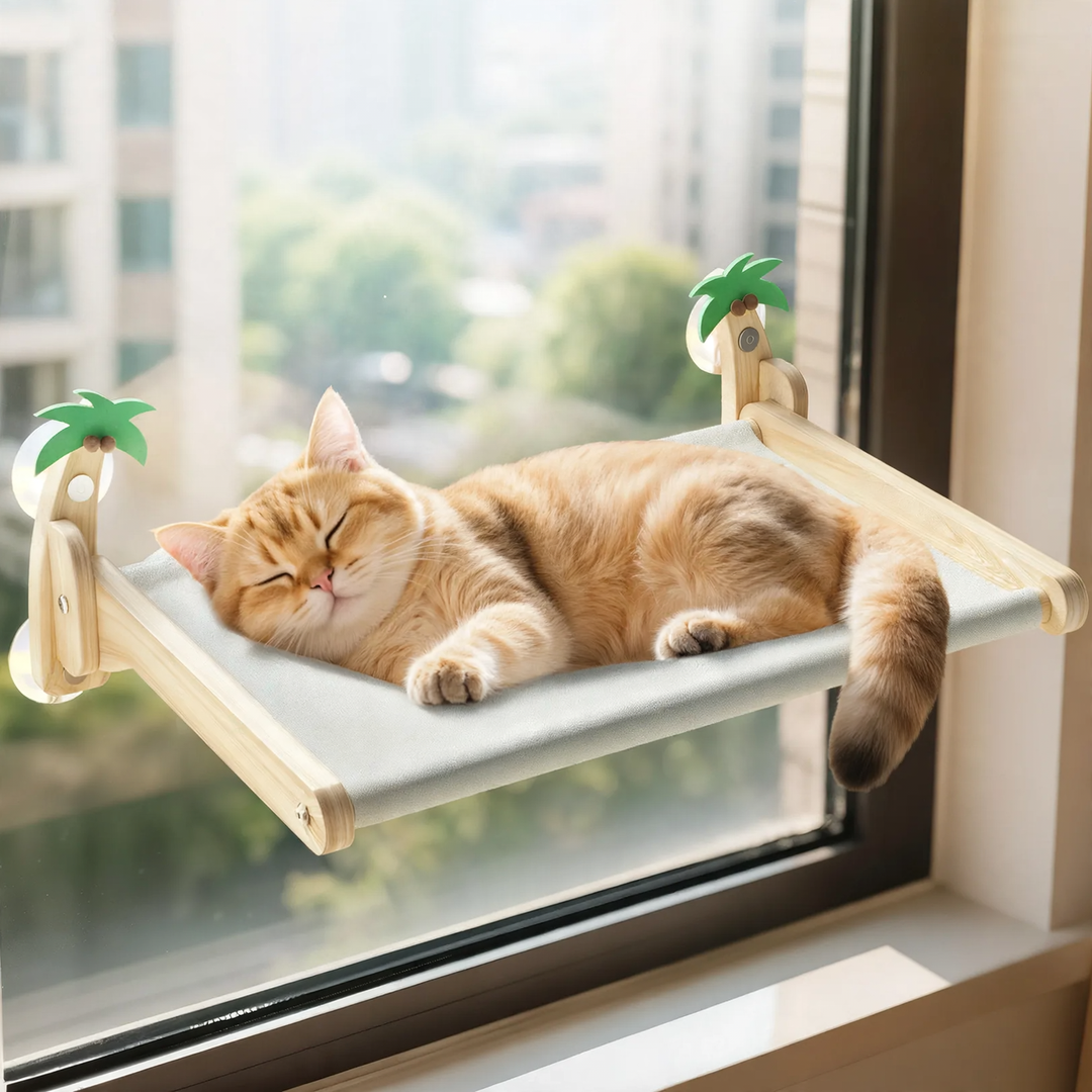 Hanging cat bed with suction cup, foldable