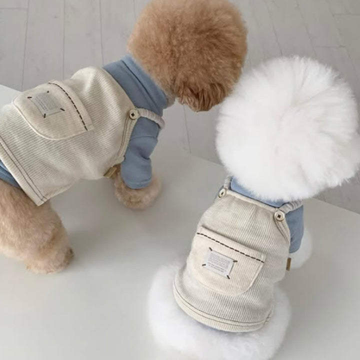 Dog carrier dress made of cord, with pocket
