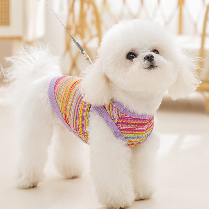 Lace Knit Top for Small Dogs, Summer