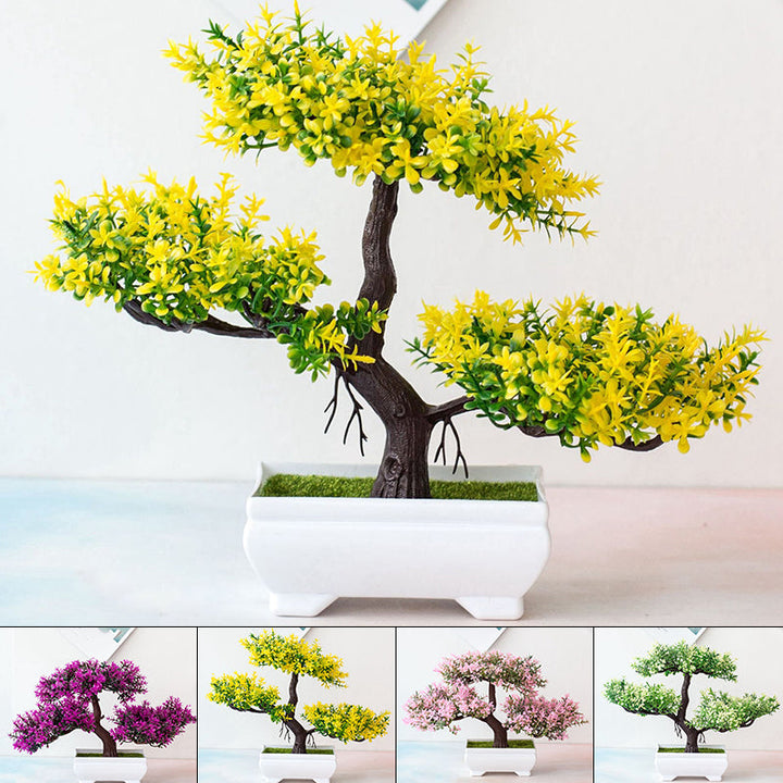 Bonsai Plant – Mini Indoor Decoration