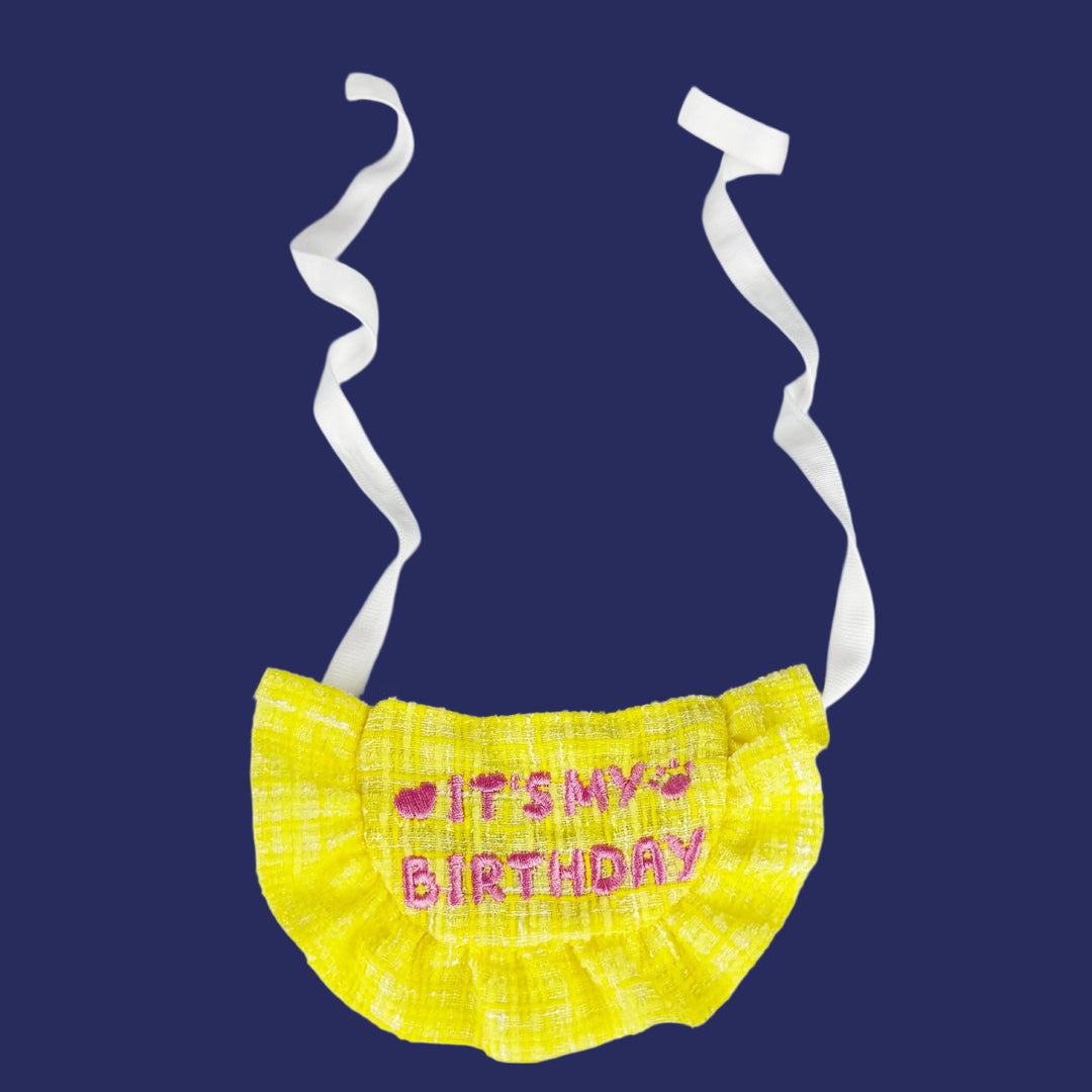 Birthday set for pets with hat and bib