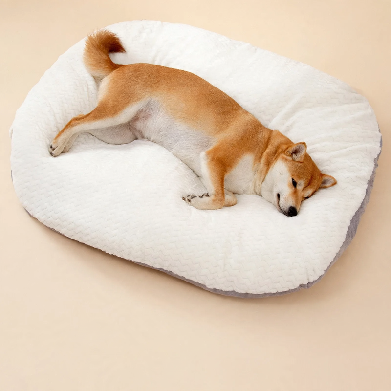 Pet cuddly bed with removable cover