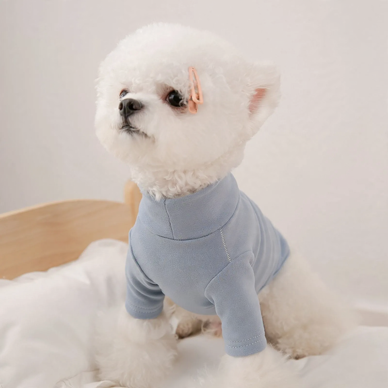 Dog vest with scarf for small dogs