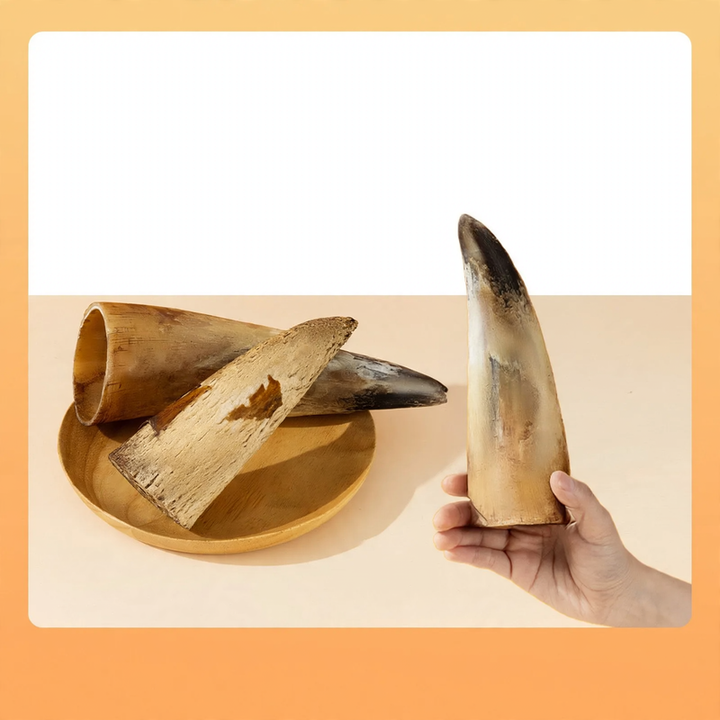 Kaustab with meat and beef bones for dogs