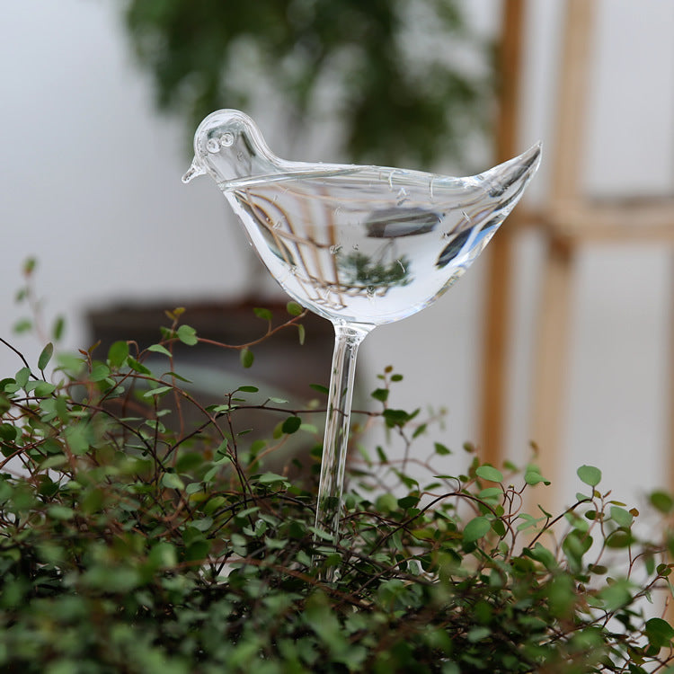 Glass drinkers for plants, various shapes