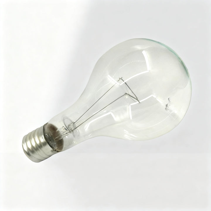 Light bulb E40 screw base 110V/220V