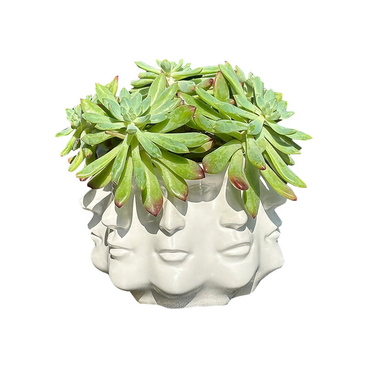 Modern flower pot with geometric face pattern