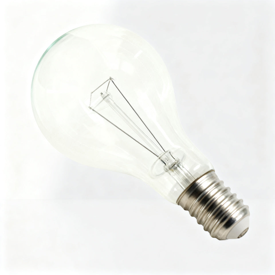 Light bulb E40 screw base 110V/220V