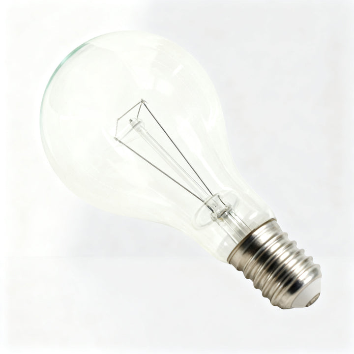 Light bulb E40 screw base 110V/220V