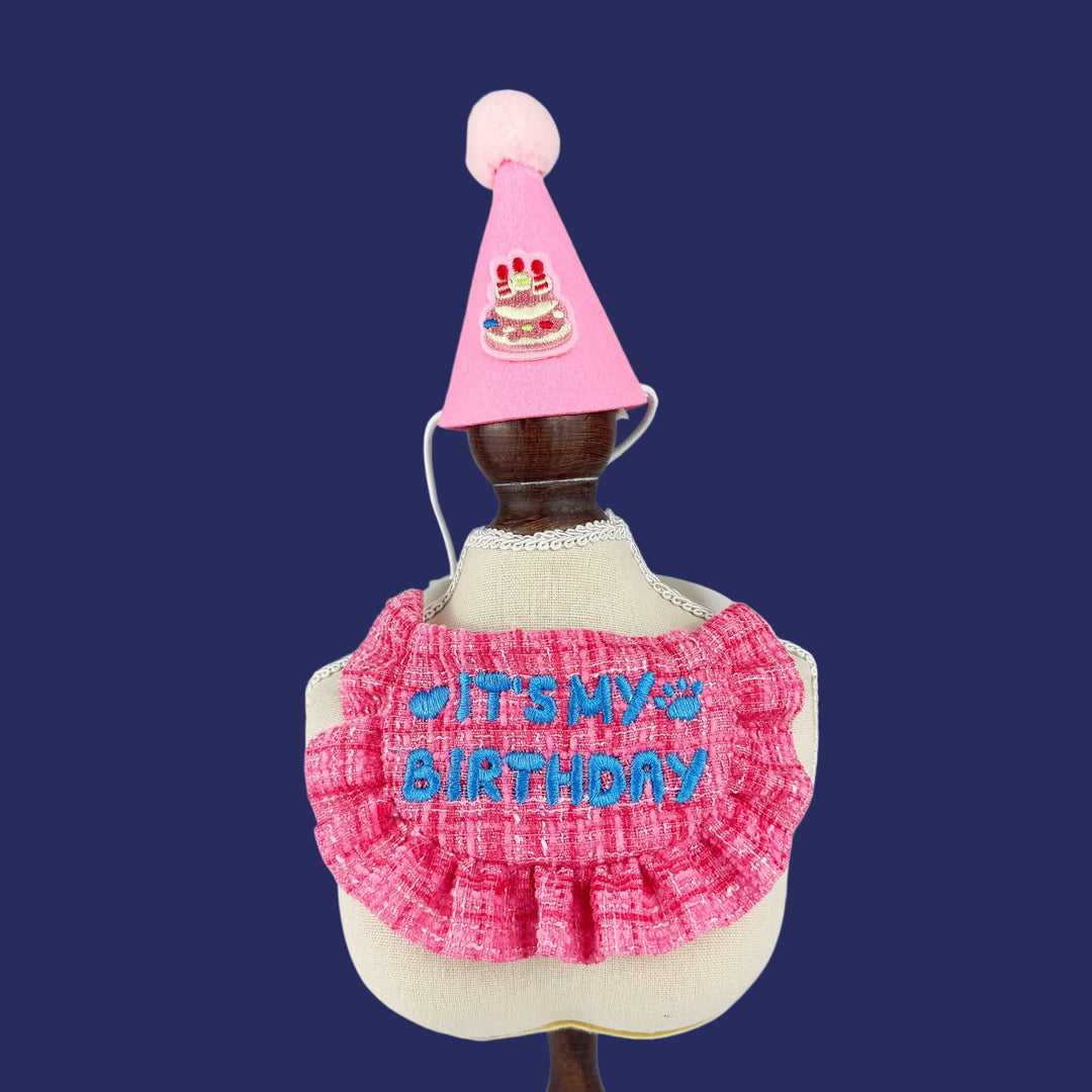 Birthday set for pets with hat and bib