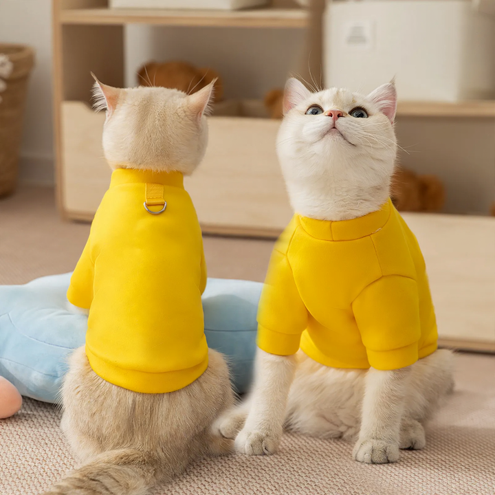 Sweatshirt for small dogs and cats