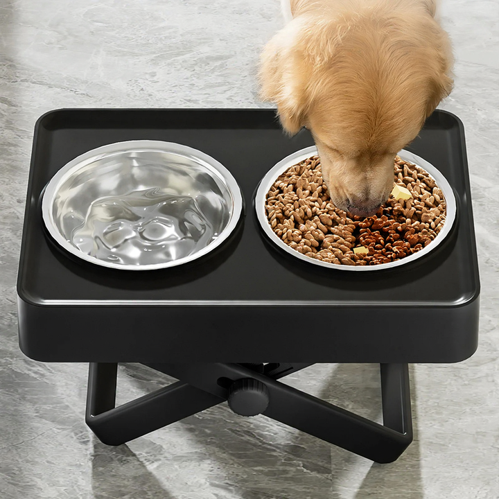 Raised double bowl made of stainless steel for large dogs
