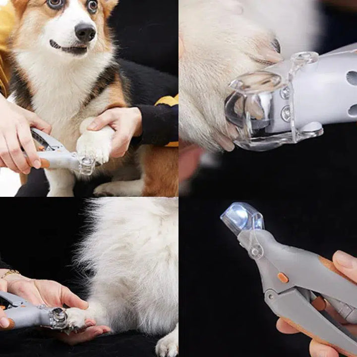 Kalsten | MAX - The best nail clippers for dogs with quick sensors