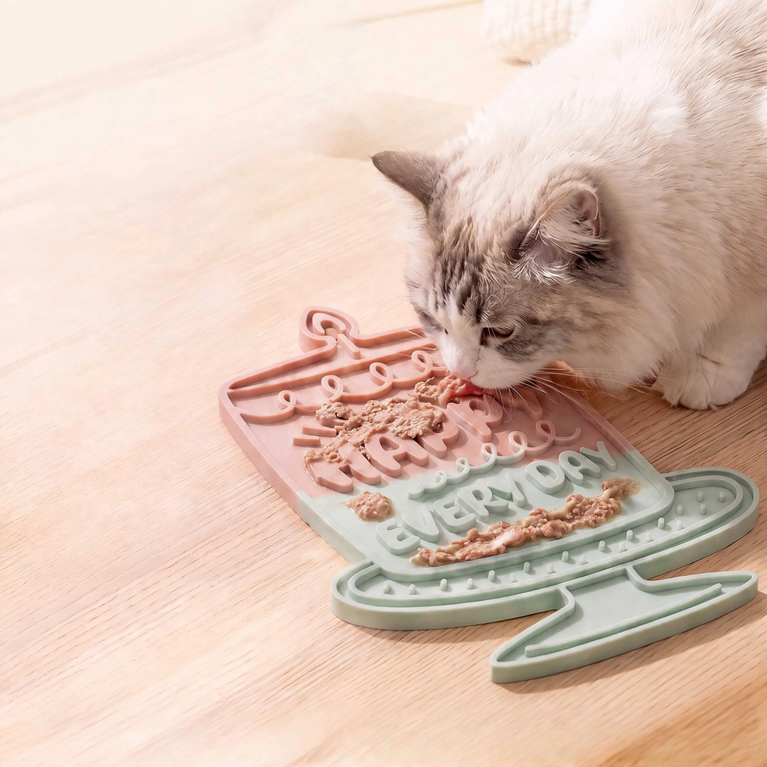 Silicone licking and feeding mat for cats and dogs