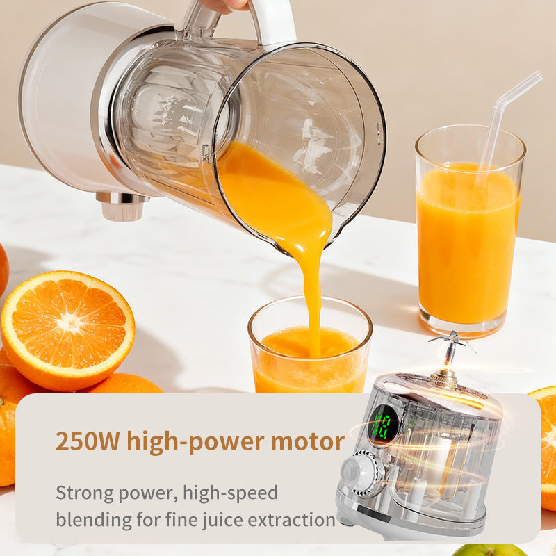 Portable Electric Juicer, 500–600 ml