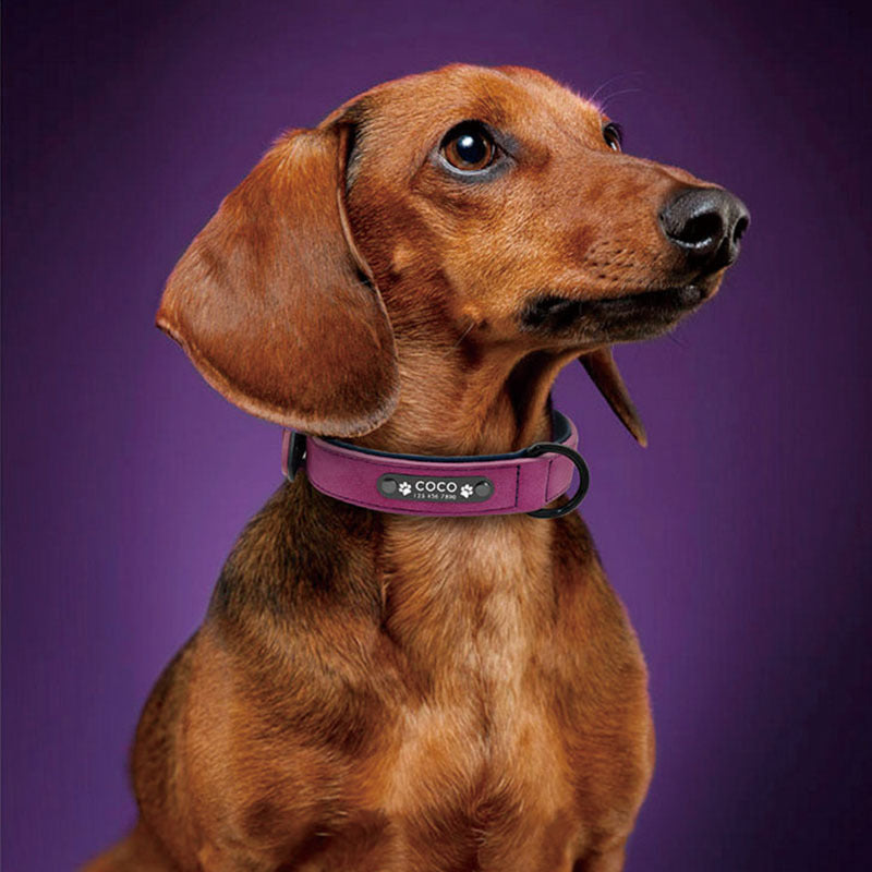 Dog collar