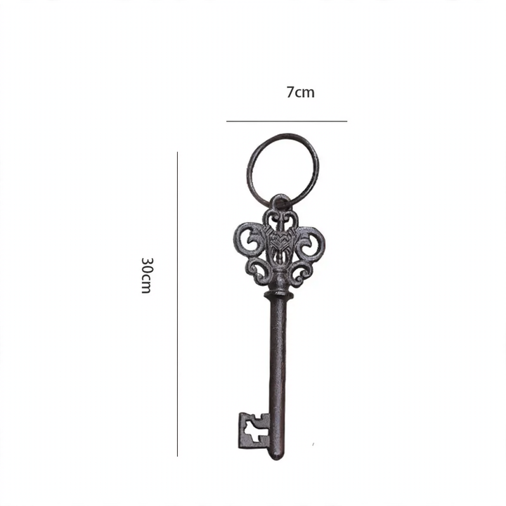 Iron wall hooks with key motifs