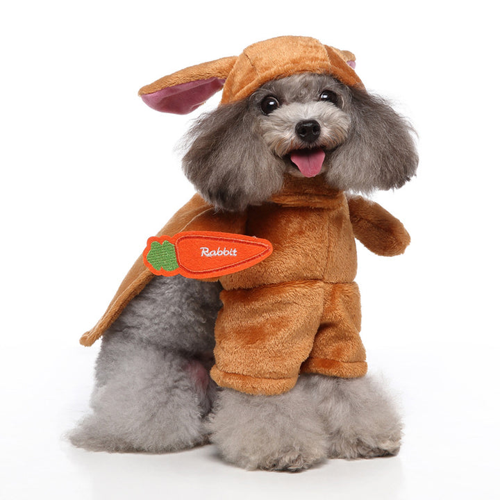 Dog clothing with costume design, polyester